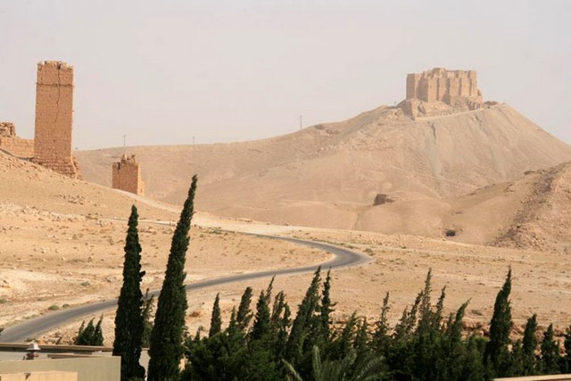 пальмира в сирии